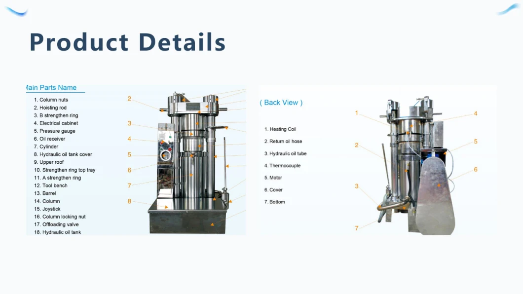 Hydraulic Cold Press Mango Seed Oil Press Machine Factory Direct Price Concessions