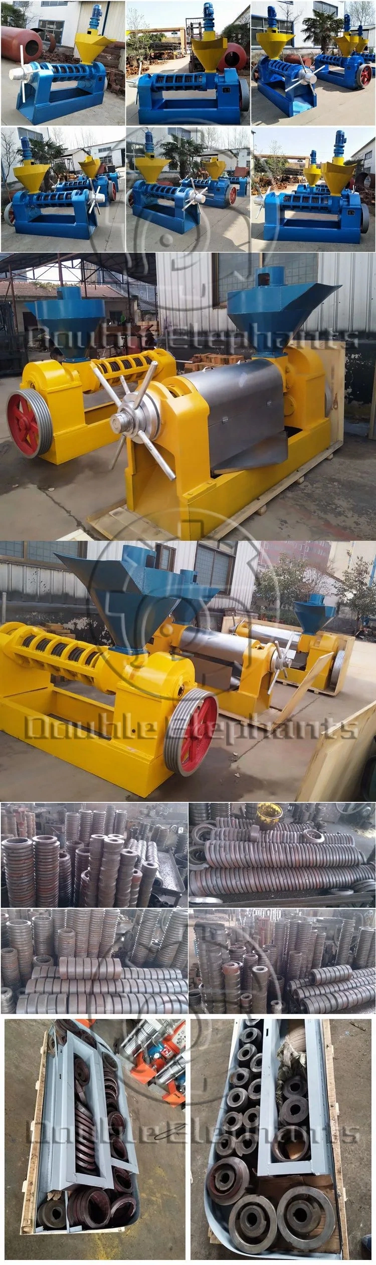 Sunflower Peanut Soybean Coconut Oilve Moringa Seed Mustard Rapeseed Avocado Vegetable Edible Cold Screw Oil Making Extraction Mill Expeller Press Machine